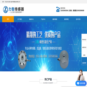 合肥力智传感器系统有限公司