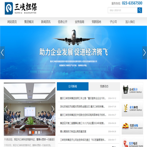 重庆三峡融资担保集团股份有限公司