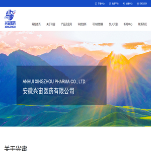 安徽兴宙医药有限公司