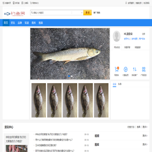 钓鱼网