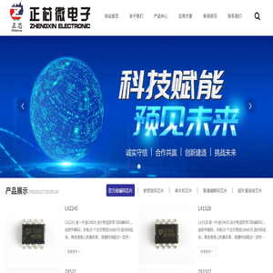 杭州正芯微电子有限公司