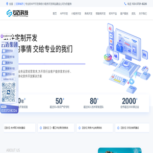 软件开发