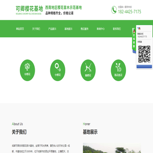 成都可卿农场/樱花苗木基地/成都樱花基地/成都樱花苗木批发