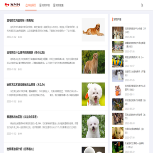 宠问问