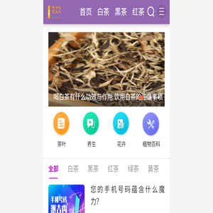 茶文化网