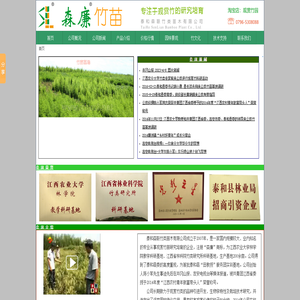 森廉竹苗,专注于观赏竹培育,泰和森联竹类苗木有限公司