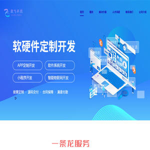 软件开发