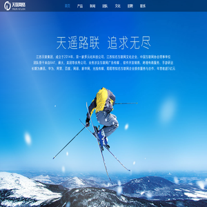 天联网络