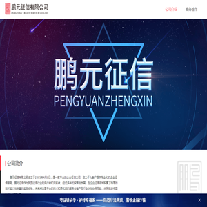 公司介绍