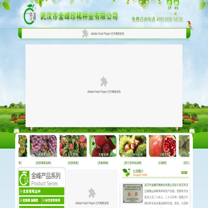 武汉市金峰珍稀种业有限公司