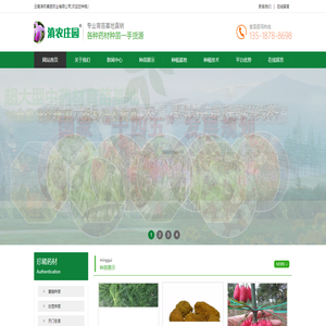 多花不倒苗黄精苗
