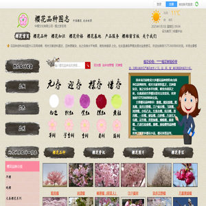 垂枝樱