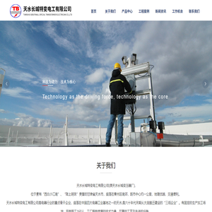 天水长城特变电工有限公司