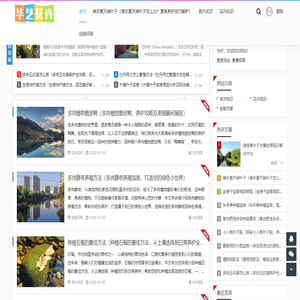 华艺号