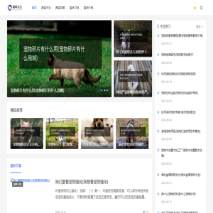 热爱研究猫咪饲养方法和生活习性