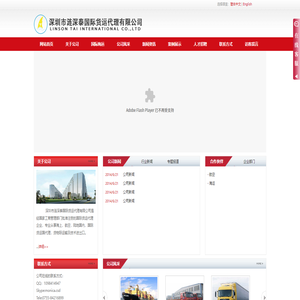 深圳市涟深泰国际货运代理有限公司