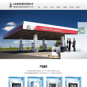 山东凌瑞明特仪器仪表有限公司