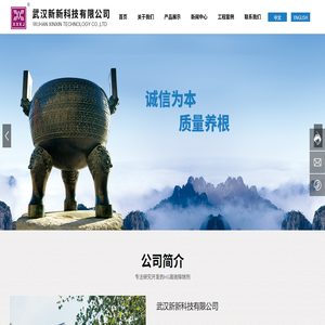 武汉新新科技有限公司
