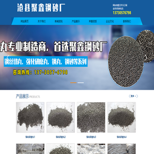 沧州钢砂钢丸