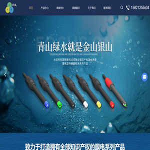离子电极