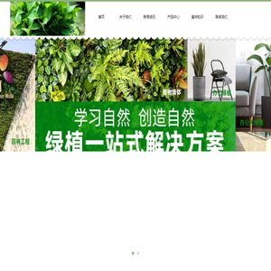 金坛绿植物租赁