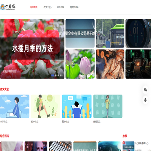 口袋狐