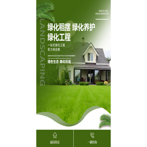 上海绿植租赁
