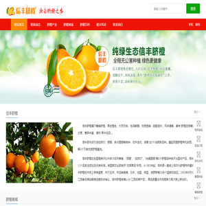 信丰脐橙网