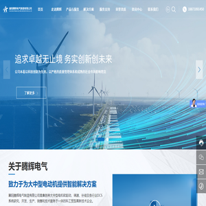 无环流静止式进相器厂家