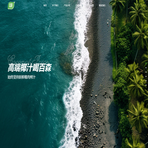 广东百森科技有限公司