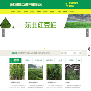 通化县益锋红豆杉种植有限公司