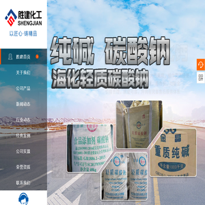 纯碱,碳酸钠,轻质纯碱,重质纯碱,出口纯碱,食品级纯碱