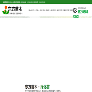 山东泰安绿化苗,果树苗种植批发基地