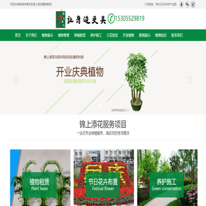 专业办公室植物租赁价格！为您提供室内优质盆栽