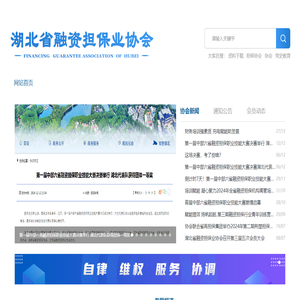 湖北省融资担保业协会