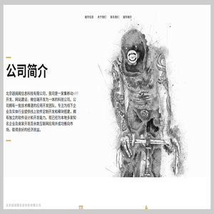 飞鸟小说
