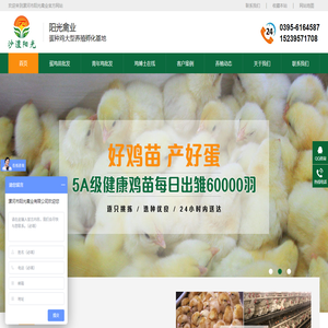 蛋鸡苗孵化厂
