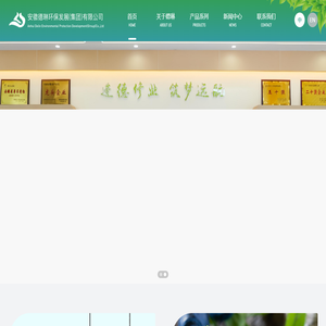 安徽德琳环保发展（集团）有限公司