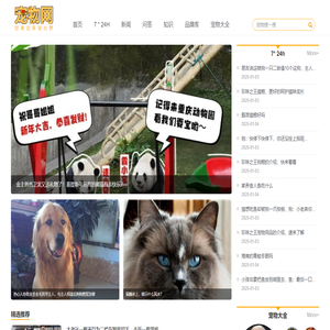 宠物网