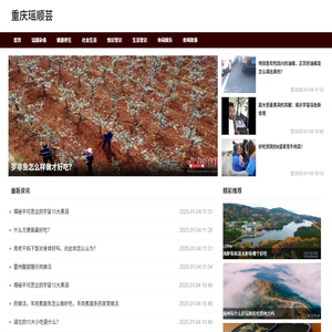 重庆瑶顺芸网络科技有限公司