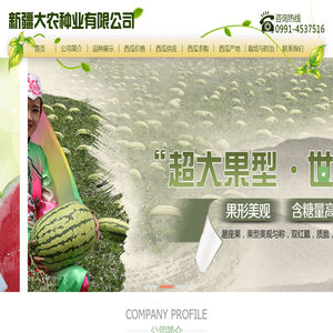 新疆八农牌西瓜
