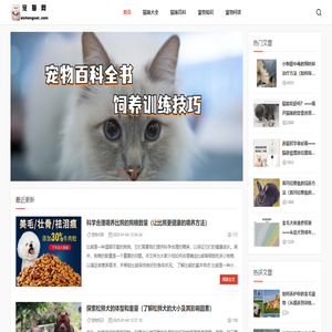 宠猫网