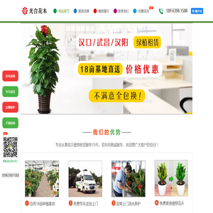 武汉绿植租赁