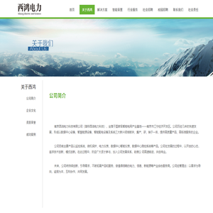 南京西鸿电力科技有限公司