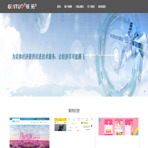 广西硅拓信息技术有限公司