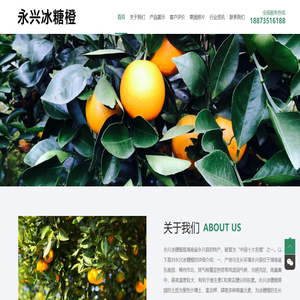 永兴冰糖橙