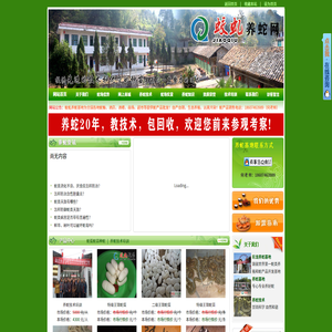 湖南养蛇基地