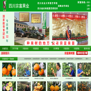 枇杷苗