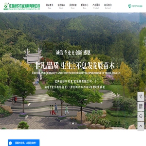 江西紫薇苗