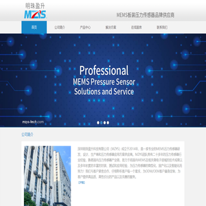 深圳明珠盈升科技有限公司
